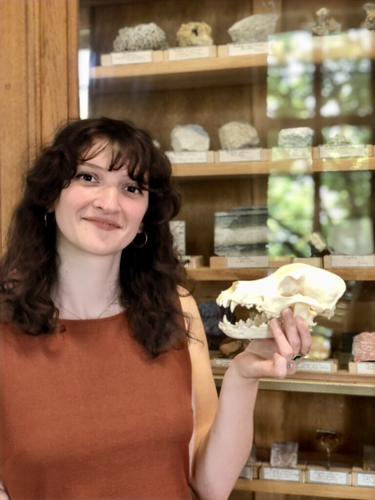 Flavie Gantier, assistante de conservation, tenant un crâne animal devant une vitrine de minéraux et fossiles au Muséum d’Angers.