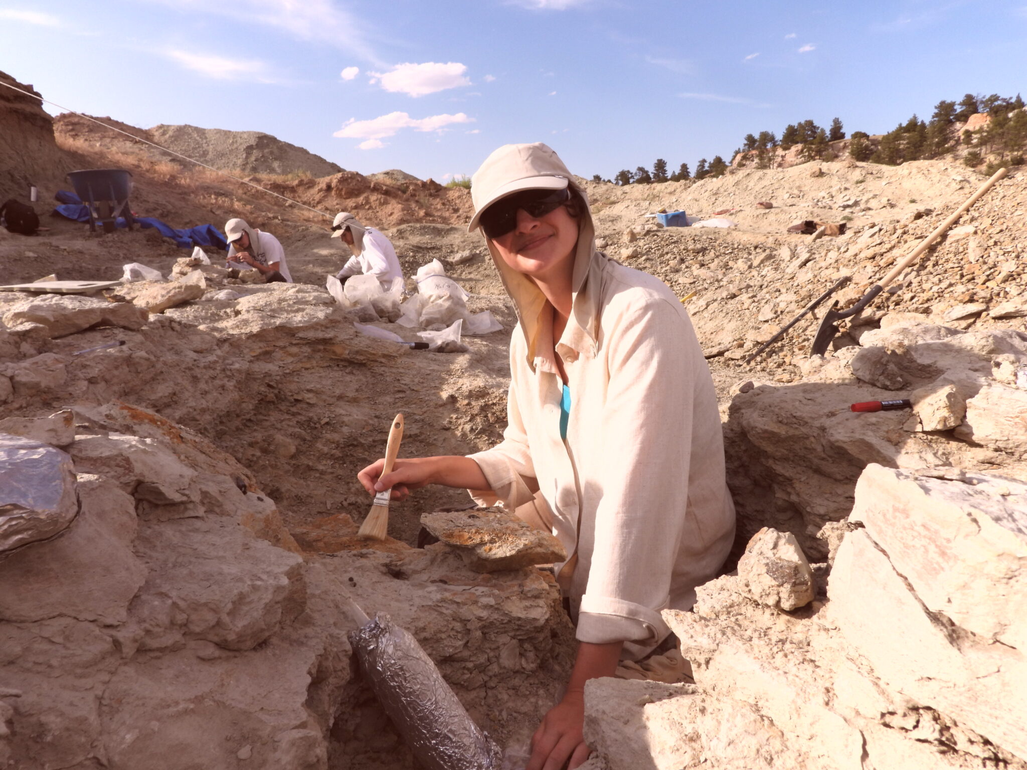Flavie Gantier dégageant un fossile au pinceau sur un chantier de fouilles paléontologiques
