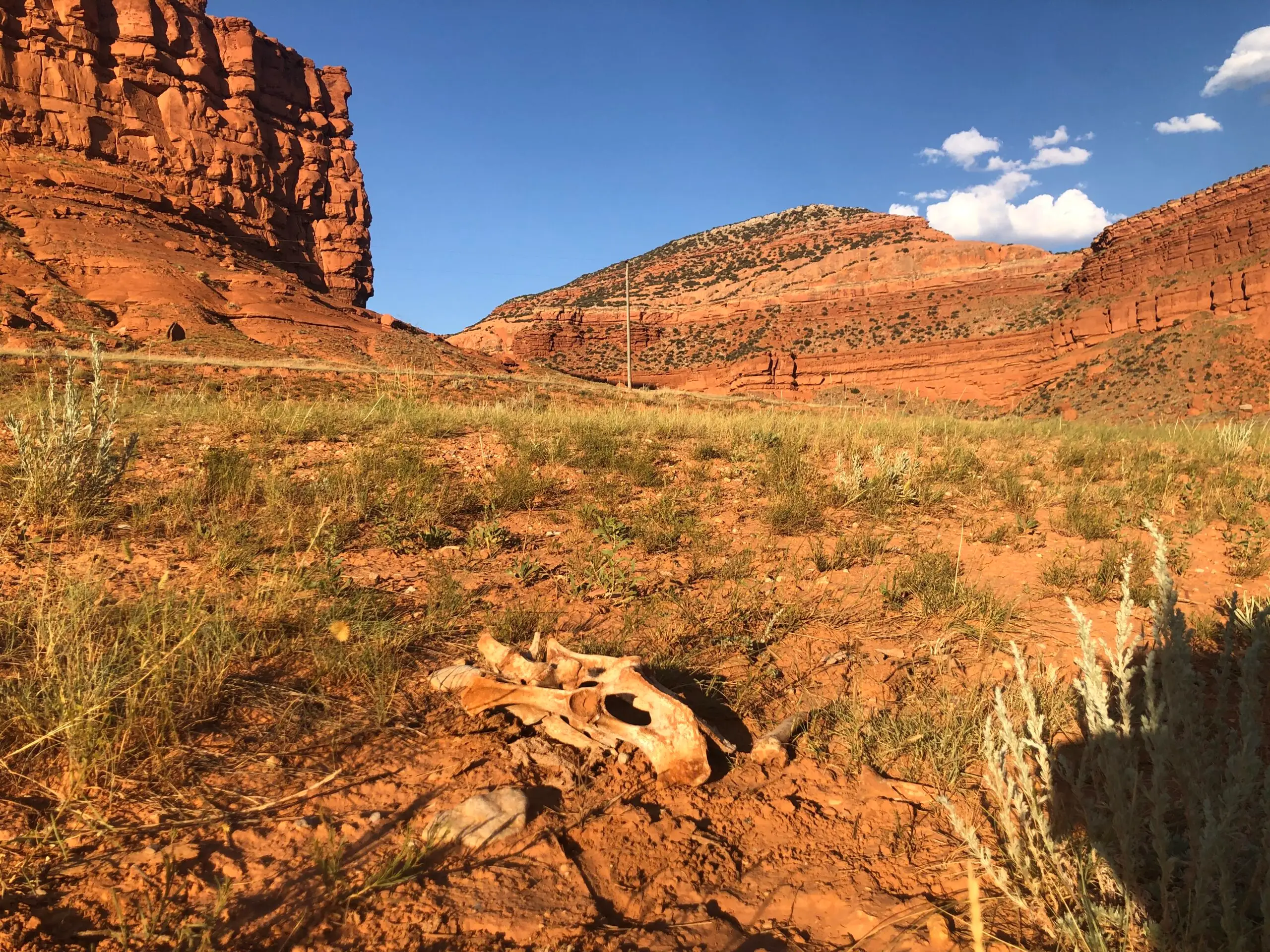Fouilles paléontologiques dans les steppes désertiques du Wyoming : dégagement d’ossements au pinceau sous un ciel bleu